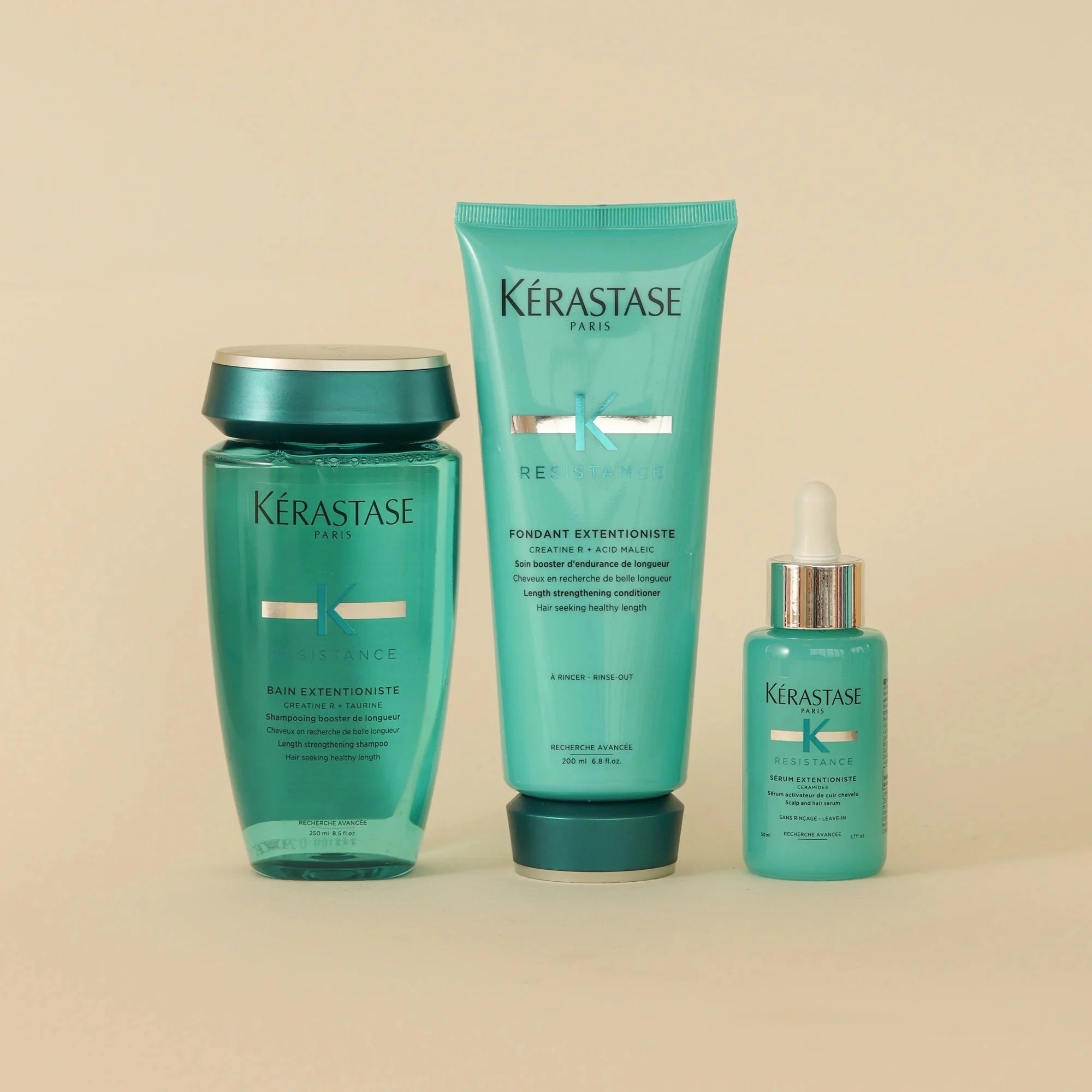 Coffret des Fêtes - Extentioniste